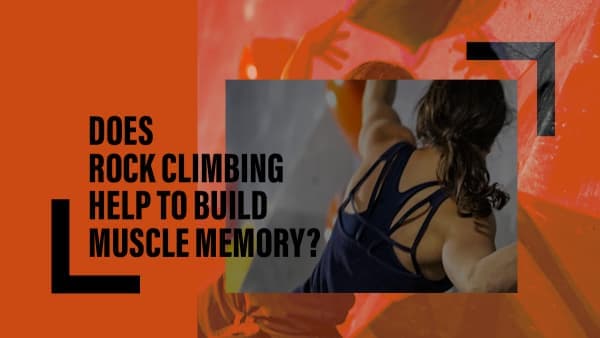 Woman in a navy sports top seen from behind, reaching up a gray indoor climbing wall