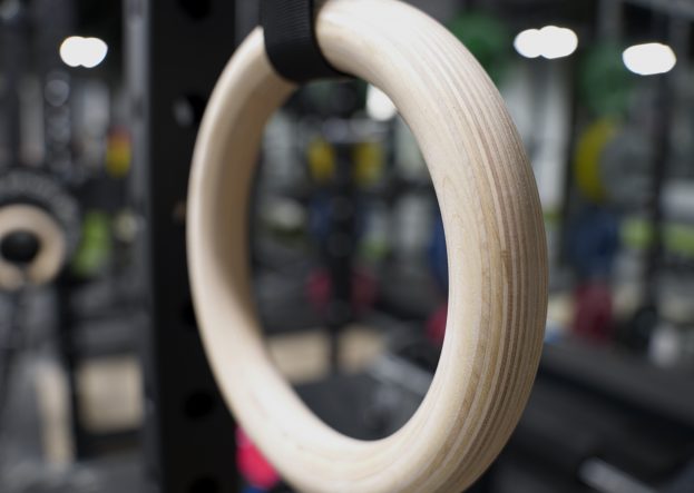 Gymnastic rings hanging in the weight area