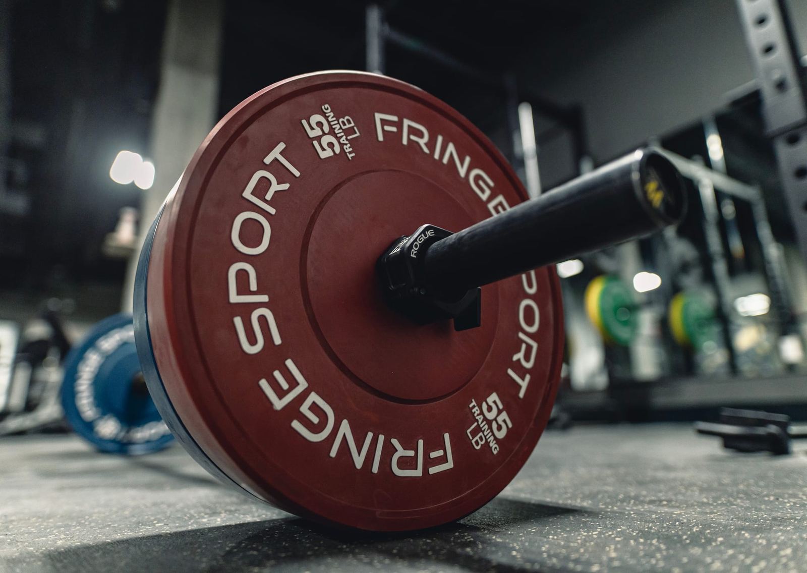 Weight plate on the gym floor