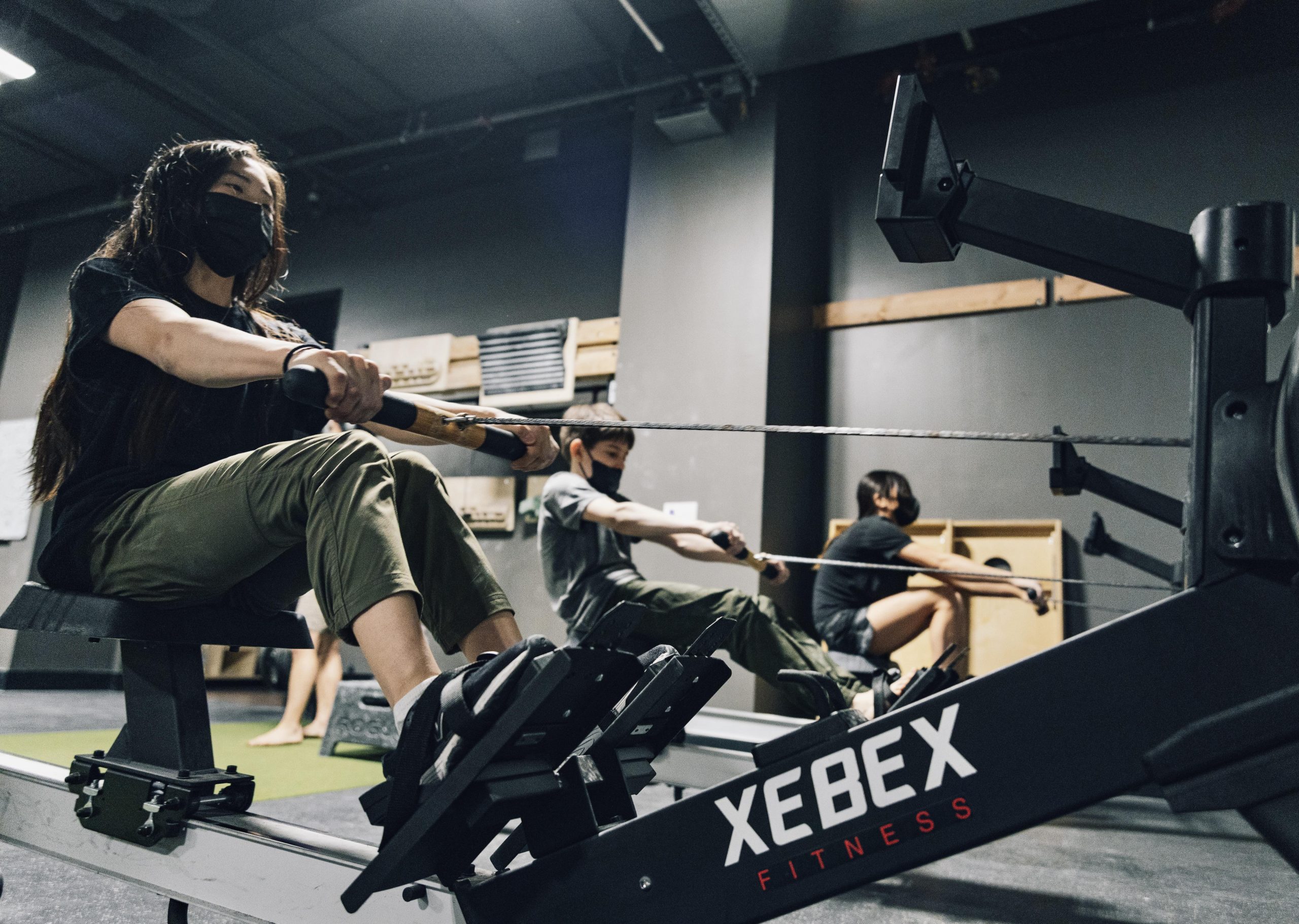 XEBEX