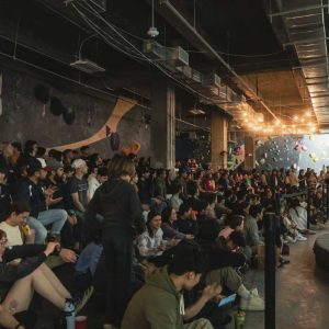 crowd